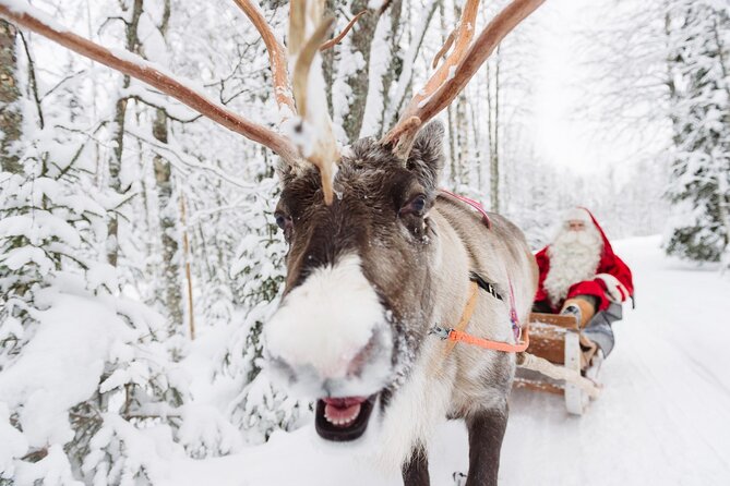 Daytour to Santa Claus Village, Reindeer and Husky Safaris, Photo, and Lunch - Santa Claus Village, Plus Real Arctic-Style Activities