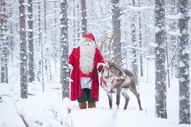 Daytour to Santa Claus Village, Reindeer and Husky Safaris, Photo, and Lunch - Stop 3: Arctic Circle Crossing, Plus a Diploma