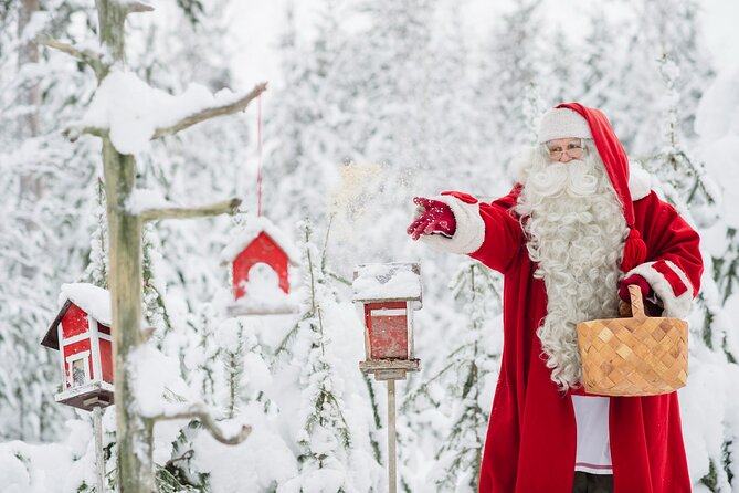 Daytour to Santa Claus Village, Reindeer and Husky Safaris, Photo, and Lunch - Stop 4: Santa’s Main Post Office for Cards and Gifts