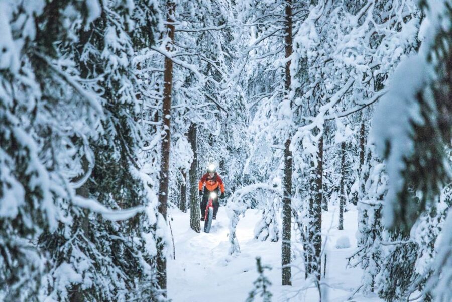 E-FatBike experience in small groups - Small Groups and a Guide Who Watches More Than the Speedometer