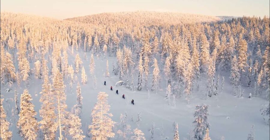 E-FatBike experience in small groups - Price and Logistics: A Balanced Look Before You Pay