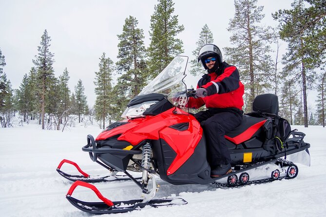 Easy Snowmobile Safari - Key things to know before you go