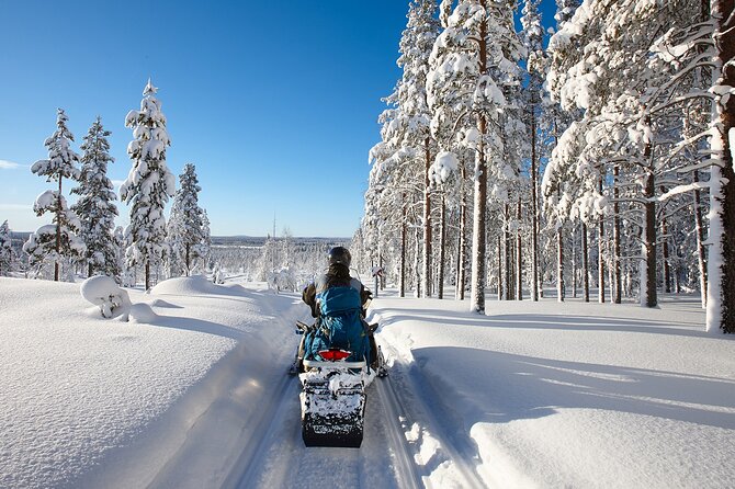 Easy Snowmobile Safari - The Driving Lesson: How They Help You Feel in Control