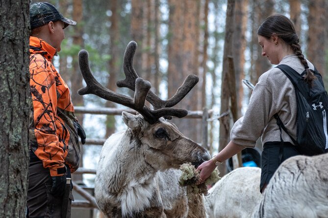 Electric Fatbike Trip to the Reindeer Farm - Electric Fatbikes Through Lapland, Not Just Around Town