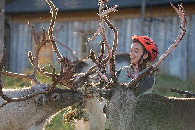 Electric Fatbike Trip to the Reindeer Farm - The Ride Out: 45 Minutes Through Forest and Lappish Nature