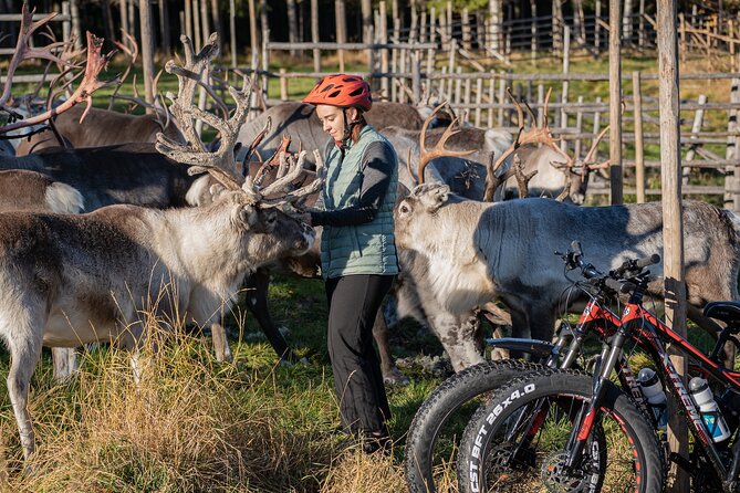 Electric Fatbike Trip to the Reindeer Farm - The Return Loop: About 20 km Back to Rovaniemi on a Different Route