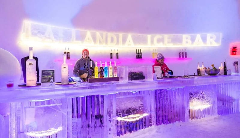 Entrance tickets to Snowman World and Snow Restaurant Dinner - The Snow Restaurant Dinner: What Happens Once You Sit Down