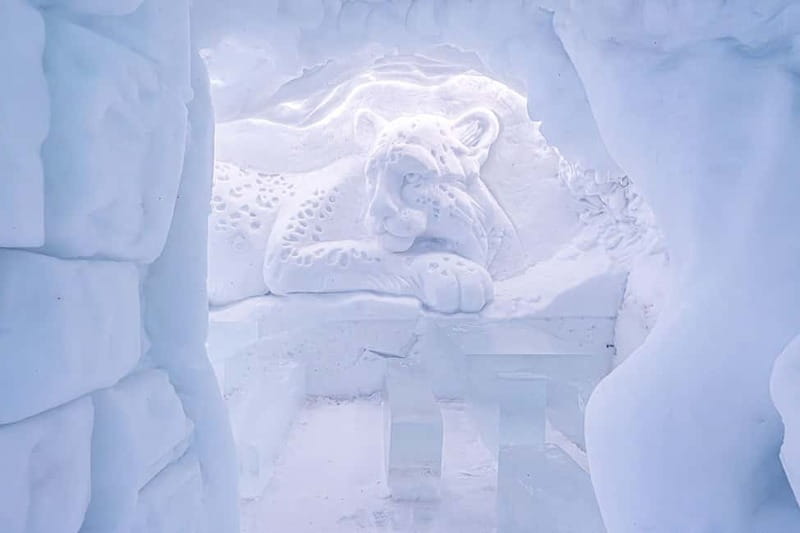 Entrance tickets to Snowman World and Snow Restaurant Dinner - Timing Your 2-Hour Visit (and Why Starting Times Matter)
