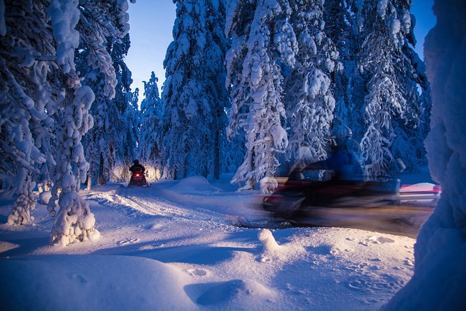Evening Escape - Snowmobile safari and campfire in Rovaniemi - Price and value: what $183.62 gets you and why it can be fair