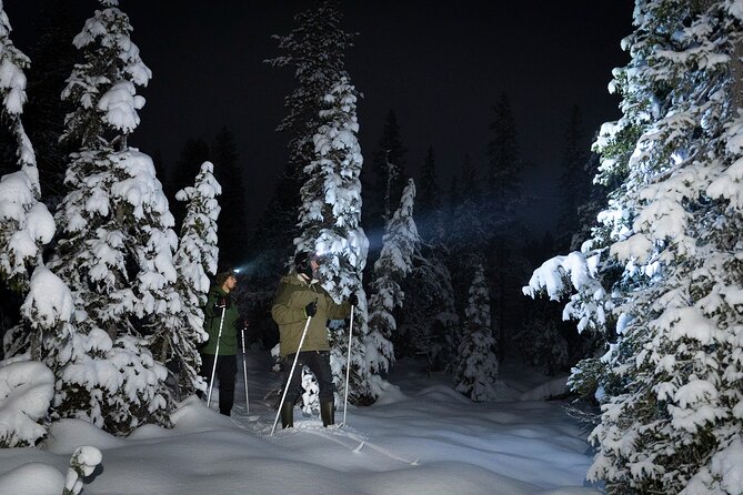 Evening Ski Trek to the Wilderness - Extra Small group - Key things I’d watch for before you go