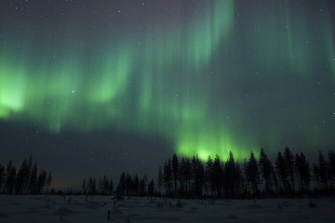 Evening Ski Trek to the Wilderness - Extra Small group - Why this night ski trek feels special around Rovaniemi