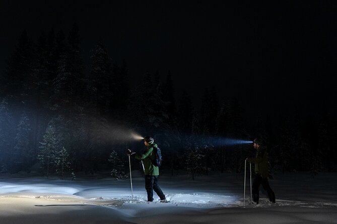 Evening Ski Trek to the Wilderness - Extra Small group - Northern lights chances, plus camera help that actually helps