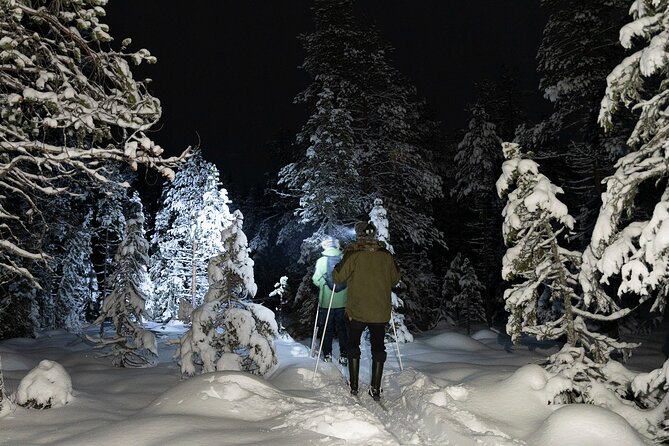 Evening Ski Trek to the Wilderness - Extra Small group - Entering the snowy night: Perunkajärvi and learning on real winter terrain