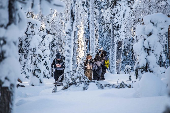 Explore the Wilderness - Beyond Arctic: what makes this Rovaniemi wilderness hike worth your time