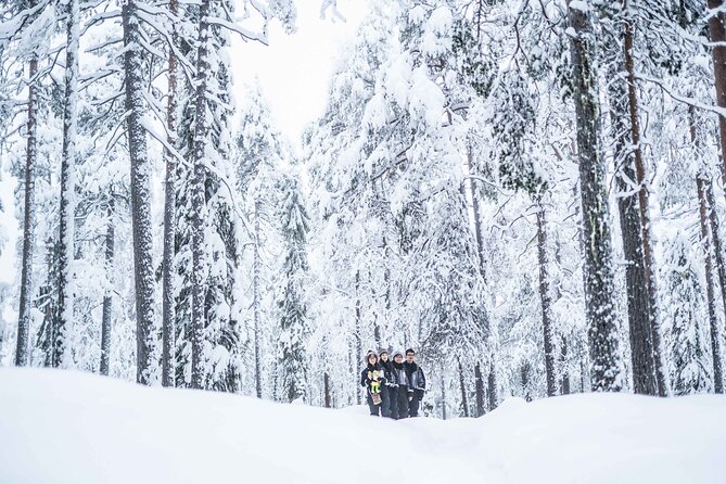 Explore the Wilderness - Stop 1: Beyond Arctic, the 4 km forest hike and how the guide makes it a photo walk