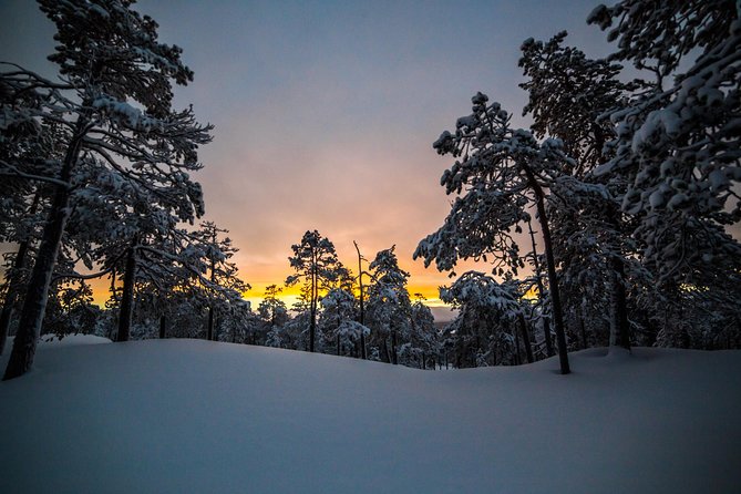 Explore the Wilderness - Who this tour is best for