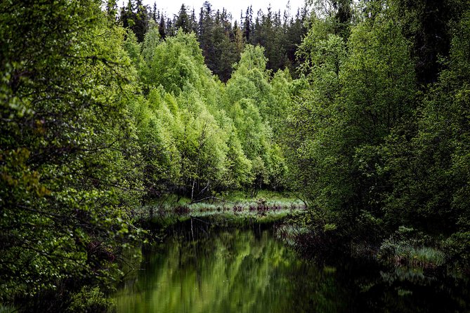 Explore the Wilderness (Summer & Autumn) - Key highlights at a glance