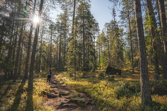 Explore the Wilderness (Summer & Autumn) - Included food and field support: snacks, drinks, and bug help