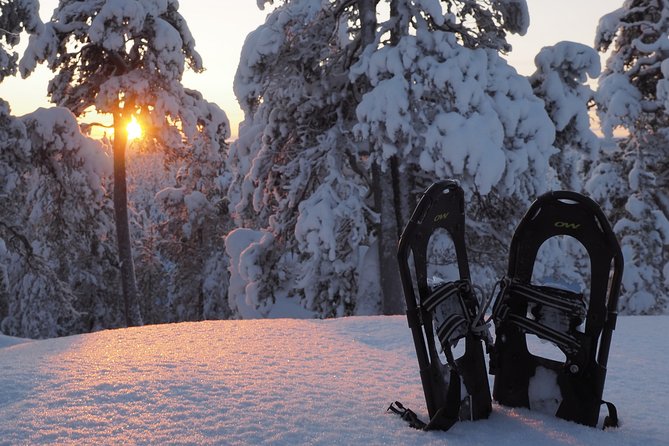 Explore Winter Woods: Snowshoe walk with local Biologist - Key Highlights You Should Care About