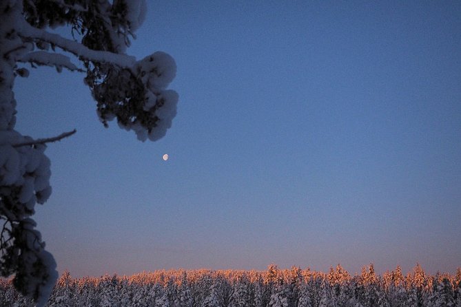 Explore Winter Woods: Snowshoe walk with local Biologist - Meet Terhi and Arto, the AT Nature Team Behind It