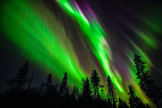 Family-Friendly: Northern Lights Adventure from Rovaniemi - Key Highlights You Should Know First