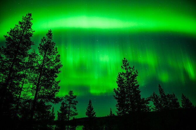 Family-Friendly: Northern Lights Adventure from Rovaniemi - Campfire Break in a Tipi: Sausages, Marshmallows, and Real Warmth