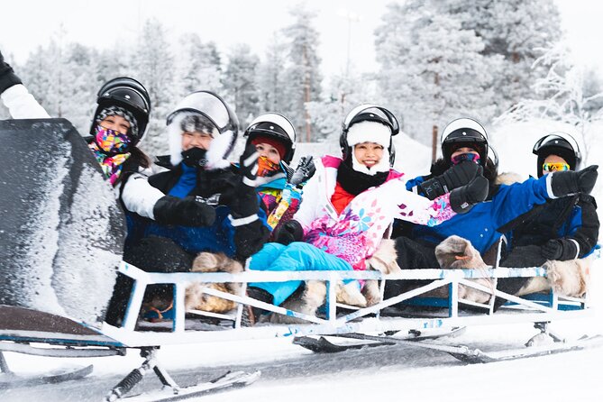 Family Snowmobile Safari from Santa Claus Village - Campfire Picnic: Sausages, Marshmallows, and Hot Berry Juice