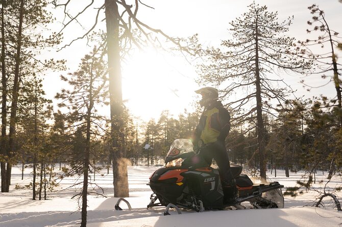 Family Snowmobile Safari in Rovaniemi - Key Highlights You Should Know Before You Go
