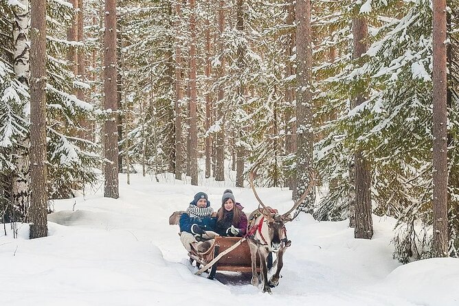 Forest Trail Reindeer Safari - The sled ride highlight: a 2 km glide through the snowy forest
