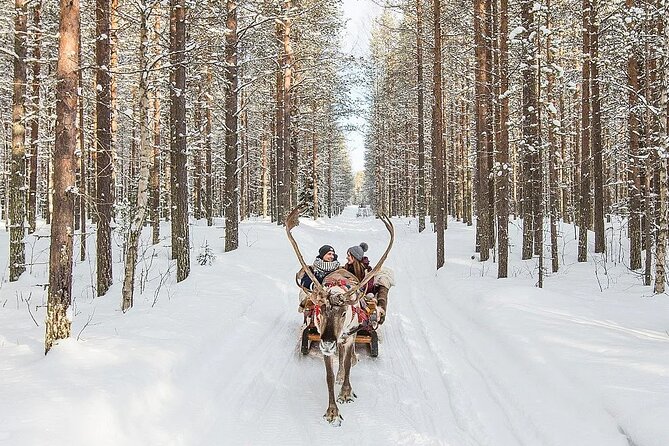 Forest Trail Reindeer Safari - Nordic Unique Travels and the reindeer farm experience you’re paying for