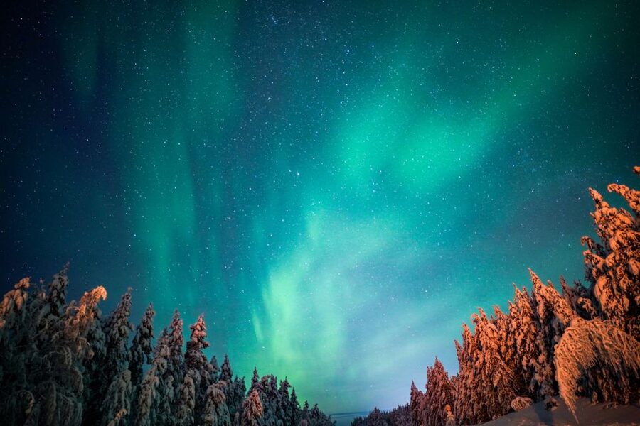 From Rovaniemi: Family-Friendly Northern Lights Tour - The Drive Out: Why Leaving the City Is the Whole Strategy