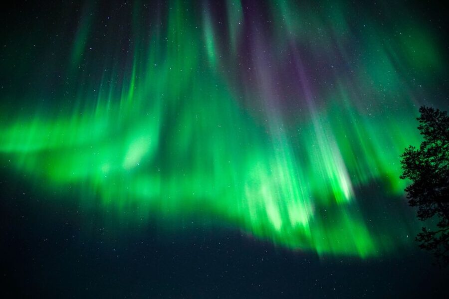 From Rovaniemi: Family-Friendly Northern Lights Tour - The Teepee Campfire Break: Snacks, Hot Drinks, and Kids Who Finally Relax