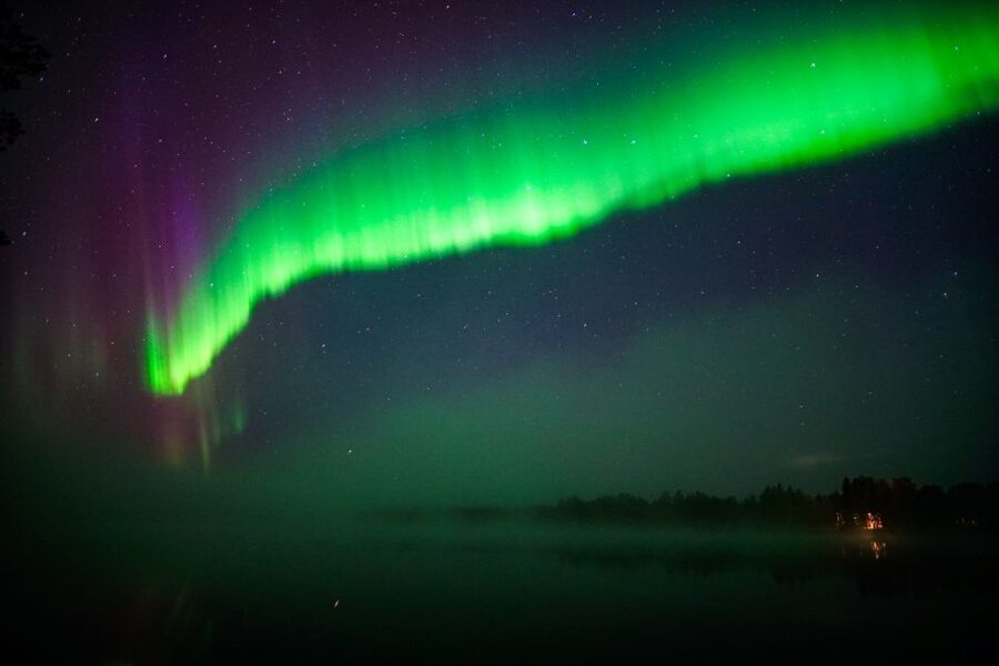 From Rovaniemi: Family-Friendly Northern Lights Tour - Exploring Lapland Wilderness at Night: Trees, Snow, and the Calm of Dark Skies