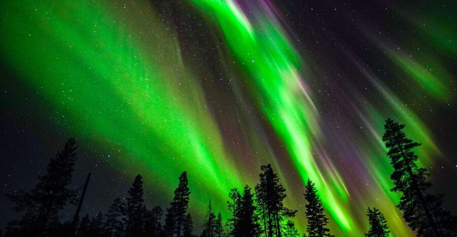 From Rovaniemi: Family-Friendly Northern Lights Tour - Who This Tour Fits Best (And Who Might Want Something Else)