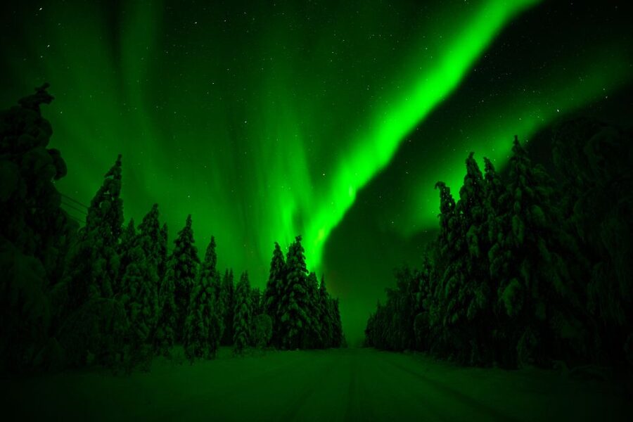 From Rovaniemi: Family-Friendly Northern Lights Tour - Tips That Make the Night Go Smoother