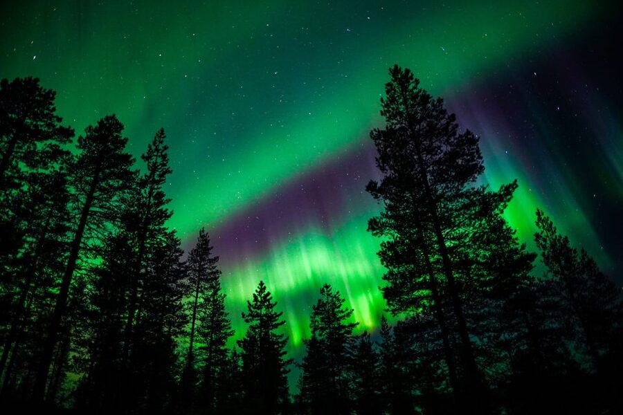 From Rovaniemi: Family-Friendly Northern Lights Tour - Getting Started in Rovaniemi: Pickup, Meet Point, and First-Minute Prep