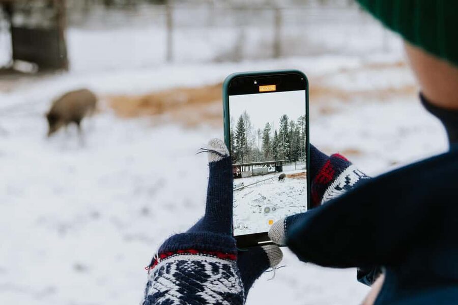 From Rovaniemi: Family Friendly Visit to Ranua Wildlife Park - Door-to-door van ride from Rovaniemi, what the timing actually means