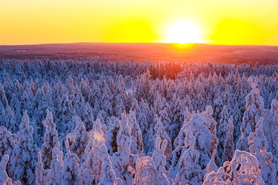 From Rovaniemi: Guided Lapland Snowmobile Adventure - Key things you’ll notice on this Lapland snowmobile adventure