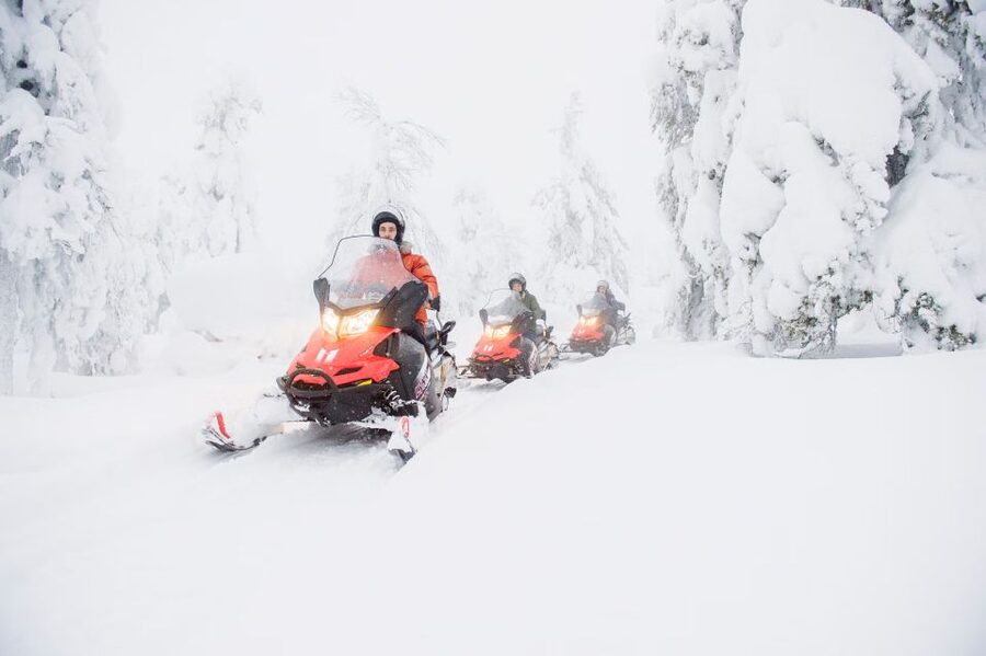 From Rovaniemi: Guided Lapland Snowmobile Adventure - Southern Lapland, not just a snowmobile circuit