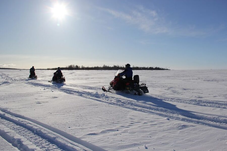 From Rovaniemi: Guided Lapland Snowmobile Adventure - The ride itself: taiga forests, frozen routes, and controlled freedom
