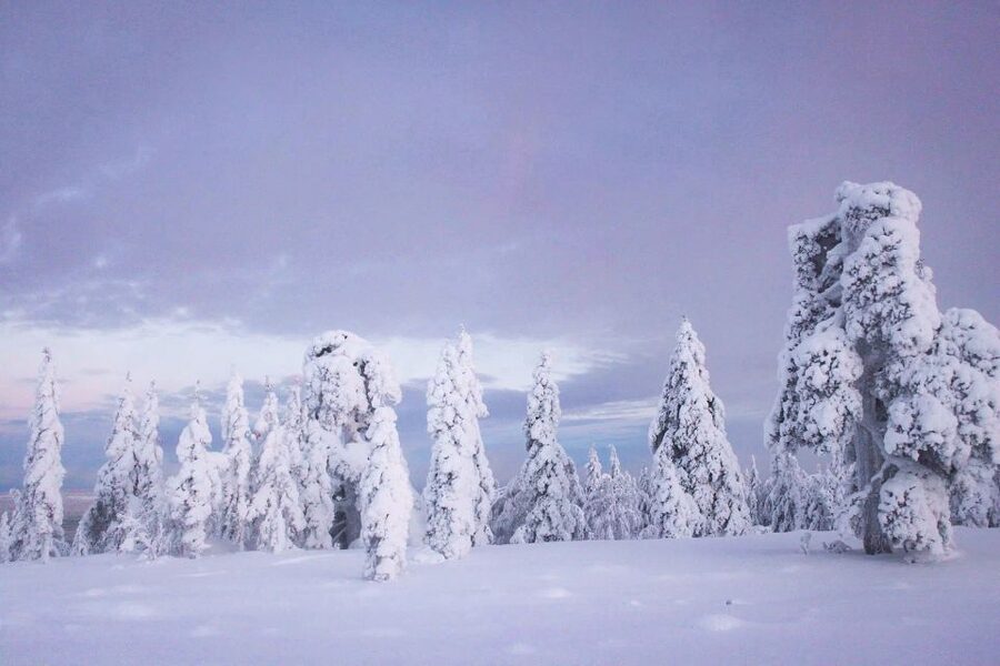 From Rovaniemi: Guided Lapland Snowmobile Adventure - Hilltop views and why they matter in winter
