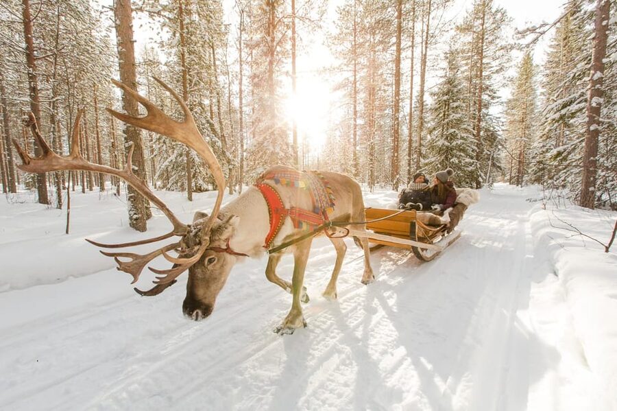 From Rovaniemi: Husky and Reindeer farm with sled ride - Key Things You’ll Remember From This Rovaniemi Tour