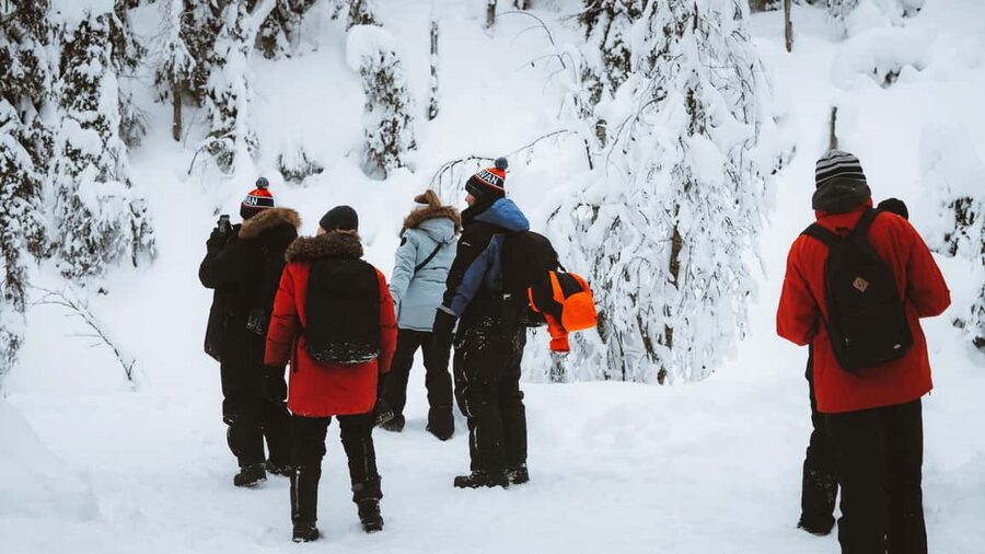 From Rovaniemi: Korouoma & Auttiköngäs Frozen Waterfalls - Who this frozen-waterfall day fits best, and who should skip