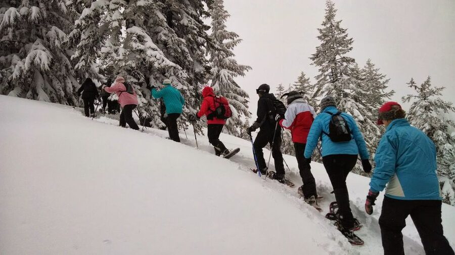 From Rovaniemi: Korouoma Frozen Waterfalls Small-Group Hike - Arriving at Korouoma: where the frozen walk begins