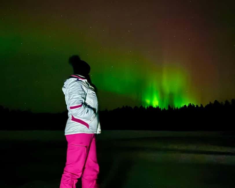 From Rovaniemi: Night Tour in Search of the Aurora with BBQ - Pickup timing and what to bring for a smooth 19:30 start