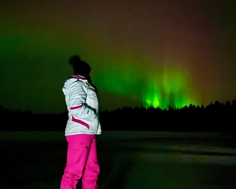 From Rovaniemi: Night Tour in Search of the Aurora with BBQ - Price and value: what you get for $85 in a 3-hour evening