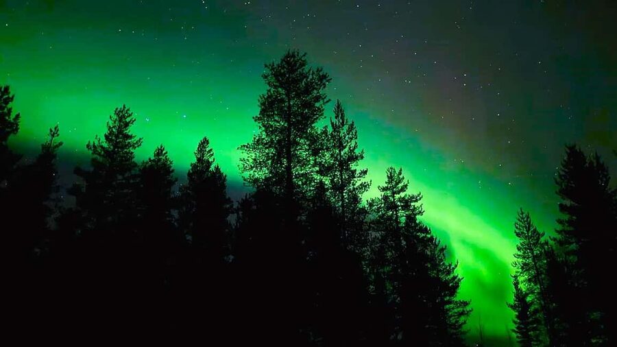 From Rovaniemi: Night Tour in Search of the Aurora with BBQ - Who this tour suits best, and who might want a different style