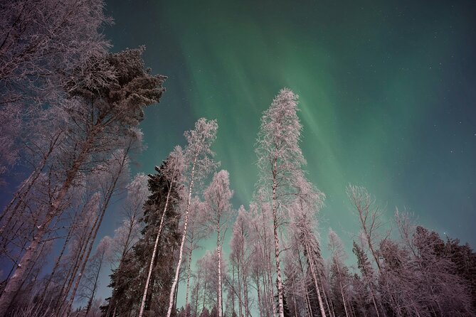 From Rovaniemi: Northern Lights Tour with Campfire Snacks - Key highlights you should know before you go
