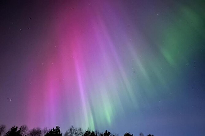 From Rovaniemi: Northern Lights Tour with Campfire Snacks - The time window (8:00 PM to 9:00 PM) and why it matters more than people think