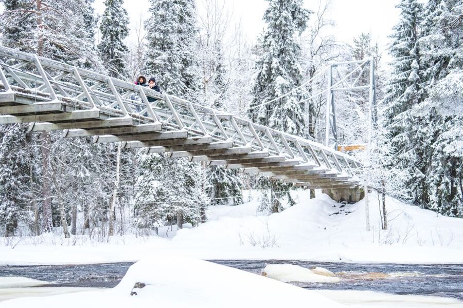 From Rovaniemi: Private Photoshoot in the Lappish Wilderness - Getting your photos: at least 20 edited images by email
